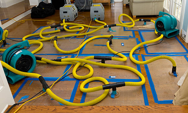 Professional Burst Pipe Water Damage technician working in Poland, OH